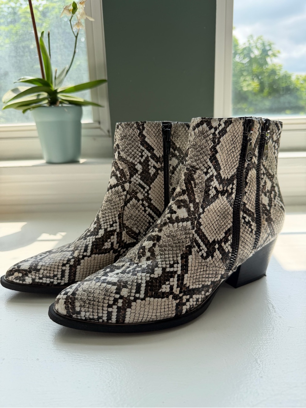 GBG by Guess Snakeskin Pattern Ankle Boots w/decorative zippers
